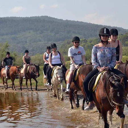 A Dream House With A Dream View In Royal Park Alanya