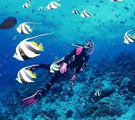 Apartment A Dream House With A Dream View In Royal Park