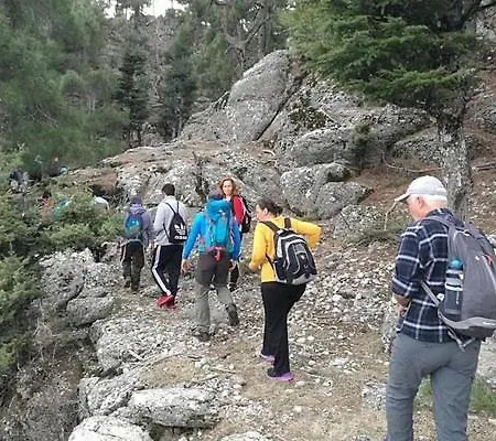 A Dream House With A Dream View In Royal Park