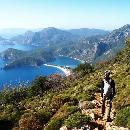 Apartment A Dreamy Luxury One-bedroom With Special Views Of The Forest, Sea And Sunset *