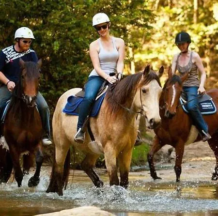 A Dream House With A Dream View In Royal Park Apartamento Alanya