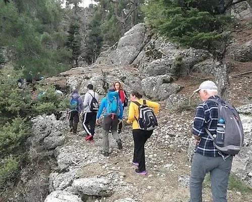 A Dream House With A Dream View In Royal Park