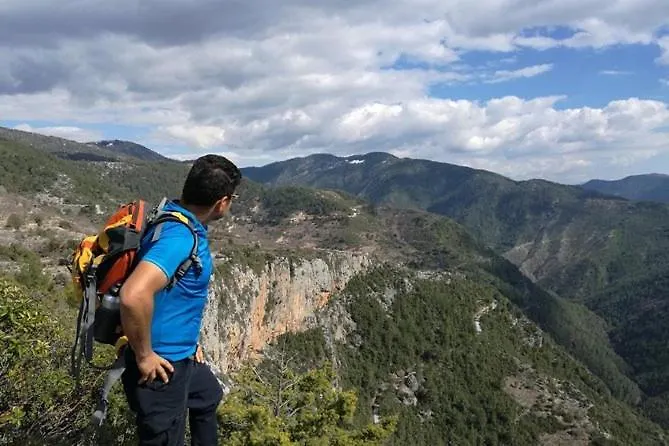 A Dreamy Luxury One-Bedroom Apartment With Special Views Of The Forest, Sea And Sunset *